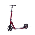 Rideoo 200